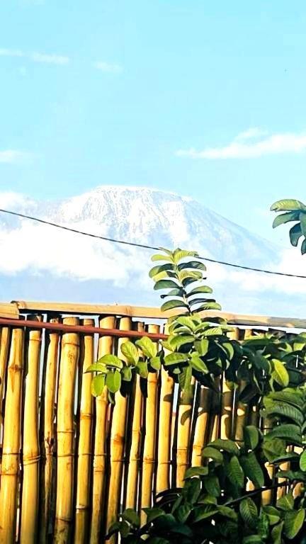 Safi House Bed & Breakfast Boma la Ngombe Dış mekan fotoğraf